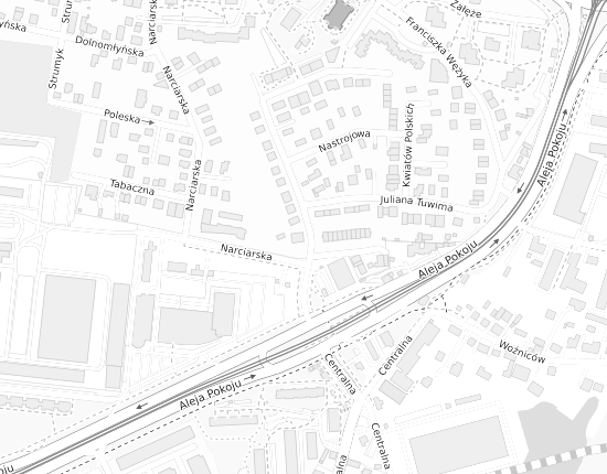 Mapa z adresem organizacji