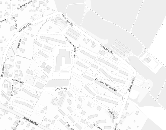 Mapa z adresem organizacji