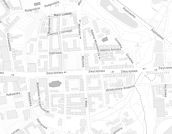Mapa z adresem organizacji