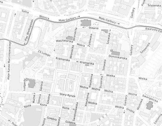 Mapa z adresem organizacji