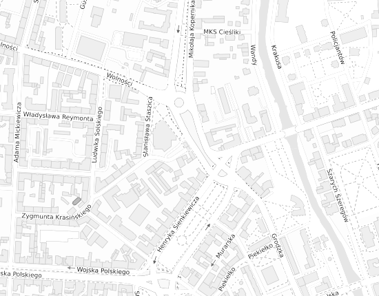 Mapa z adresem organizacji