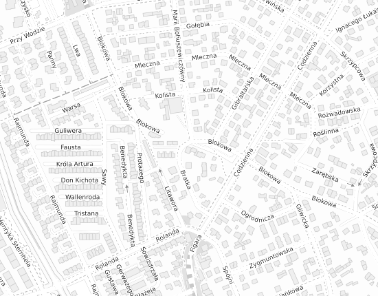 Mapa z adresem organizacji