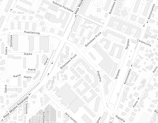 Mapa z adresem organizacji
