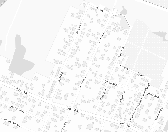 Mapa z adresem organizacji