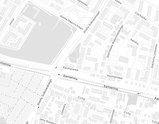Mapa z adresem organizacji