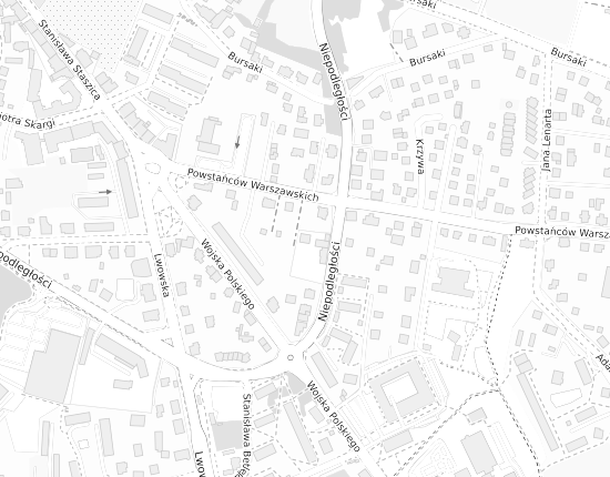 Mapa z adresem organizacji