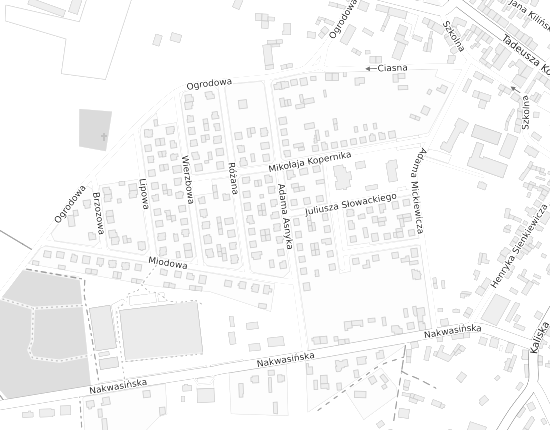 Mapa z adresem organizacji