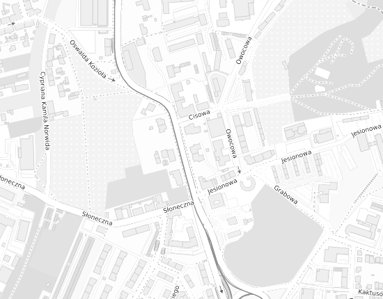 Mapa z adresem organizacji