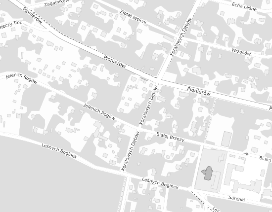 Mapa z adresem organizacji