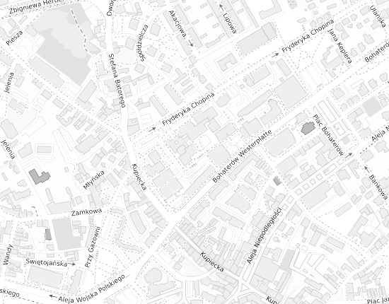 Mapa z adresem organizacji