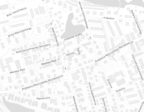 Mapa z adresem organizacji