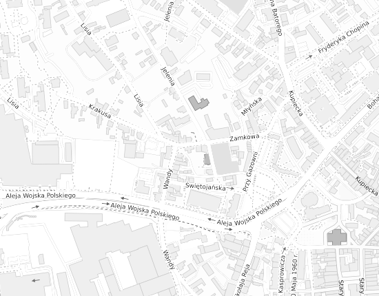 Mapa z adresem organizacji