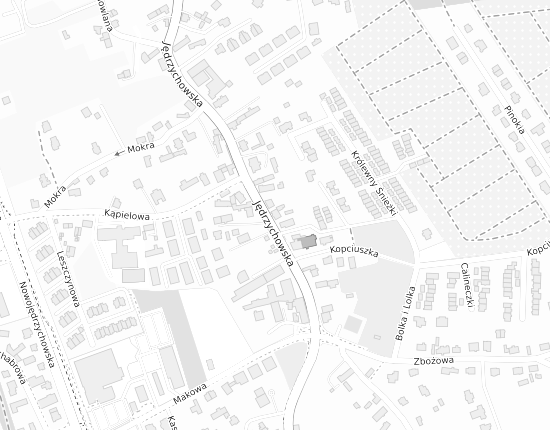 Mapa z adresem organizacji