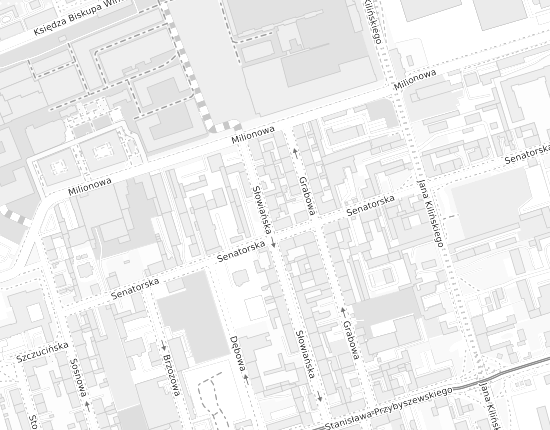 Mapa z adresem organizacji