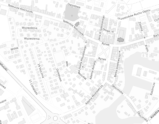 Mapa z adresem organizacji