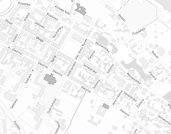 Mapa z adresem organizacji