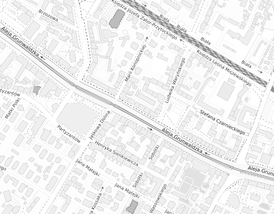 Mapa z adresem organizacji