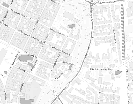 Mapa z adresem organizacji