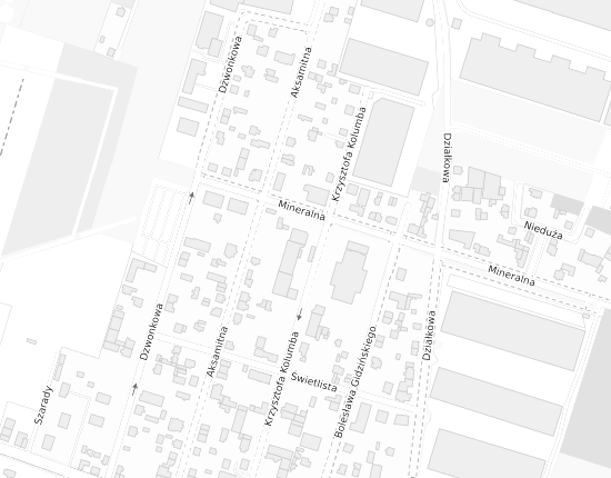 Mapa z adresem organizacji