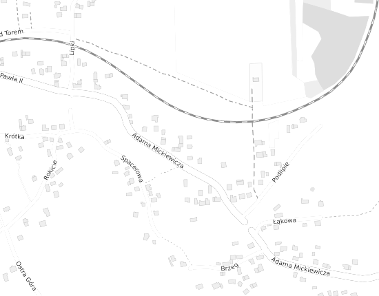 Mapa z adresem organizacji