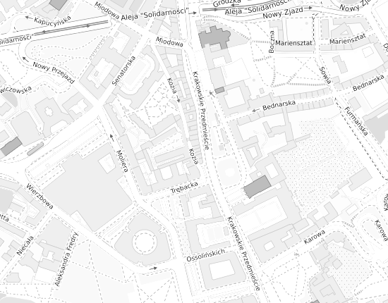 Mapa z adresem organizacji