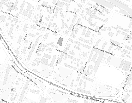 Mapa z adresem organizacji
