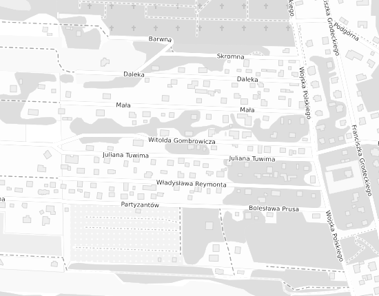 Mapa z adresem organizacji