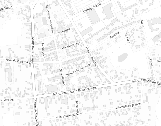 Mapa z adresem organizacji