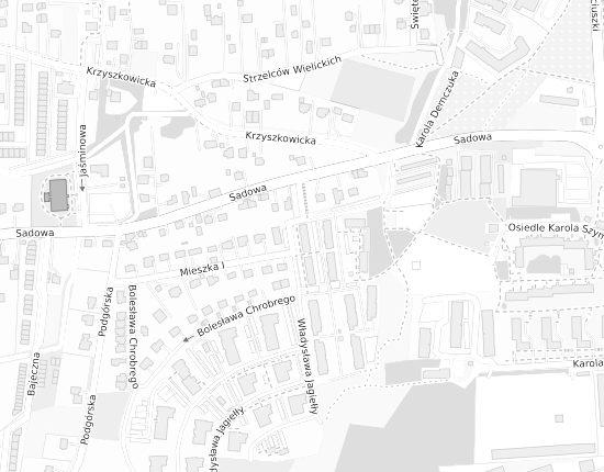 Mapa z adresem organizacji
