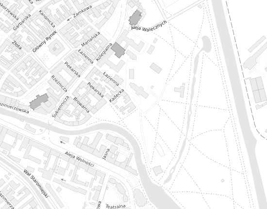 Mapa z adresem organizacji