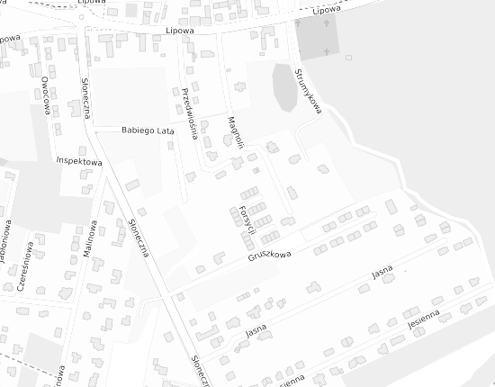 Mapa z adresem organizacji