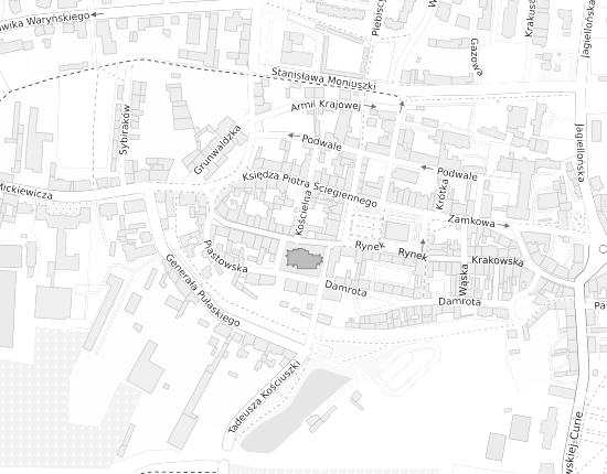 Mapa z adresem organizacji