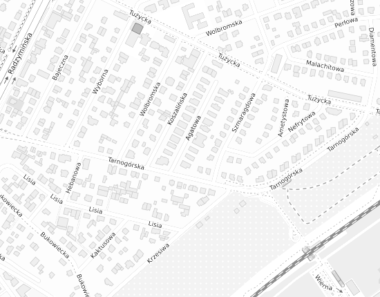 Mapa z adresem organizacji