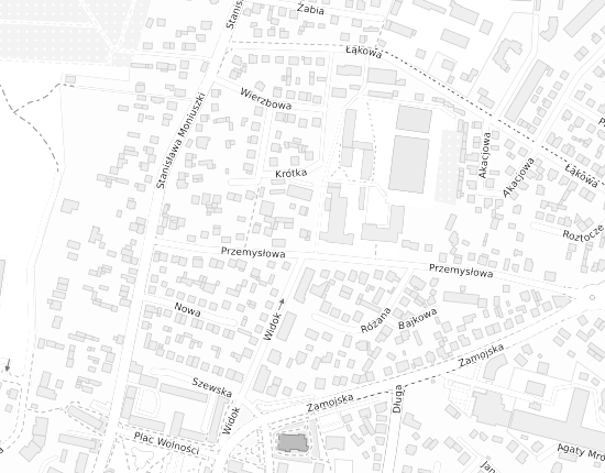 Mapa z adresem organizacji