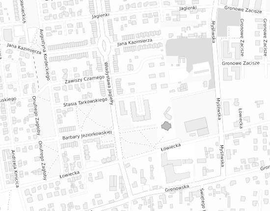 Mapa z adresem organizacji