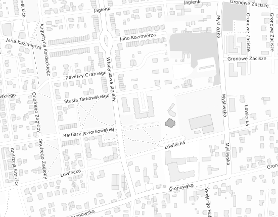 Mapa z adresem organizacji
