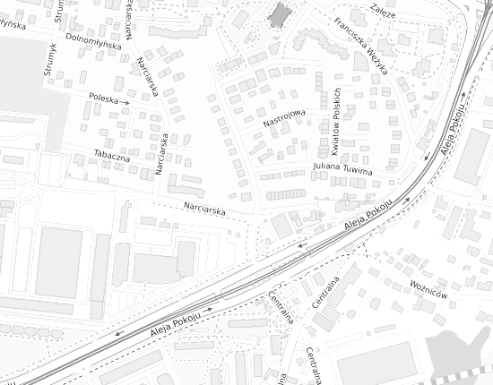 Mapa z adresem organizacji