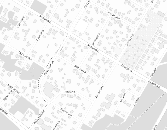 Mapa z adresem organizacji