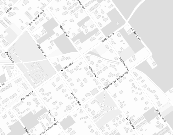 Mapa z adresem organizacji