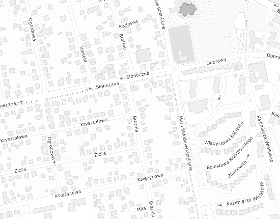 Mapa z adresem organizacji