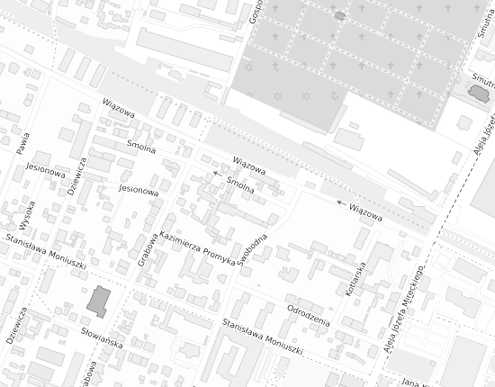 Mapa z adresem organizacji