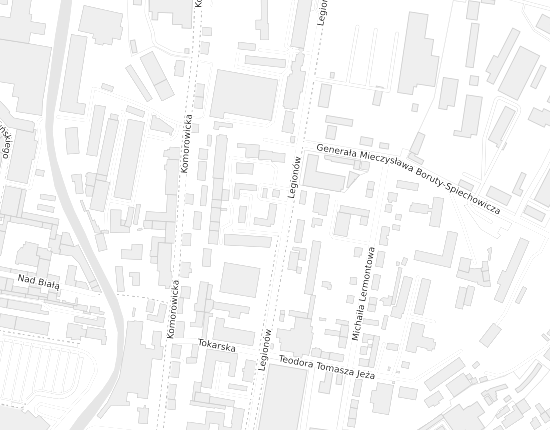 Mapa z adresem organizacji