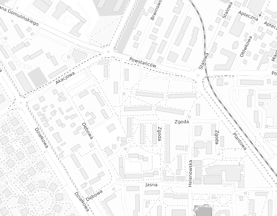 Mapa z adresem organizacji