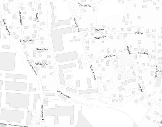 Mapa z adresem organizacji