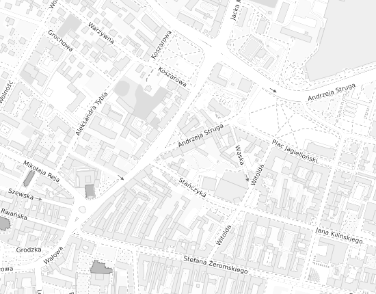 Mapa z adresem organizacji