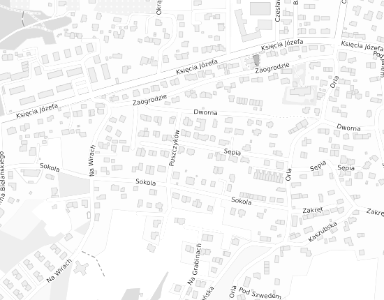 Mapa z adresem organizacji