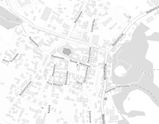 Mapa z adresem organizacji