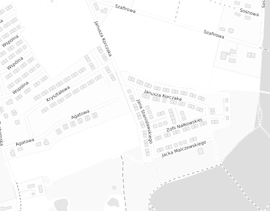 Mapa z adresem organizacji