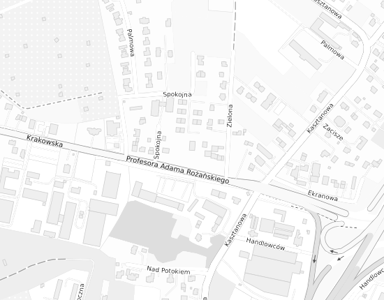 Mapa z adresem organizacji