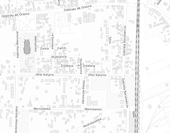Mapa z adresem organizacji